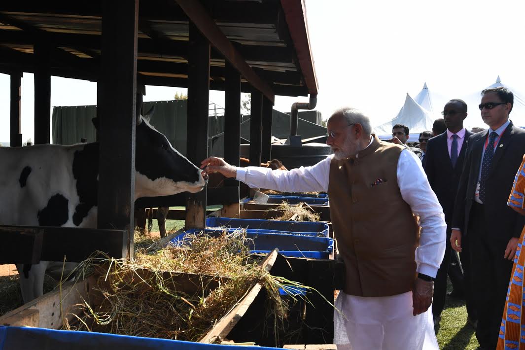 India gifted 200 cows to villagers who do not yet own one as a part of the Girinka Programmeof the Rwandan Government