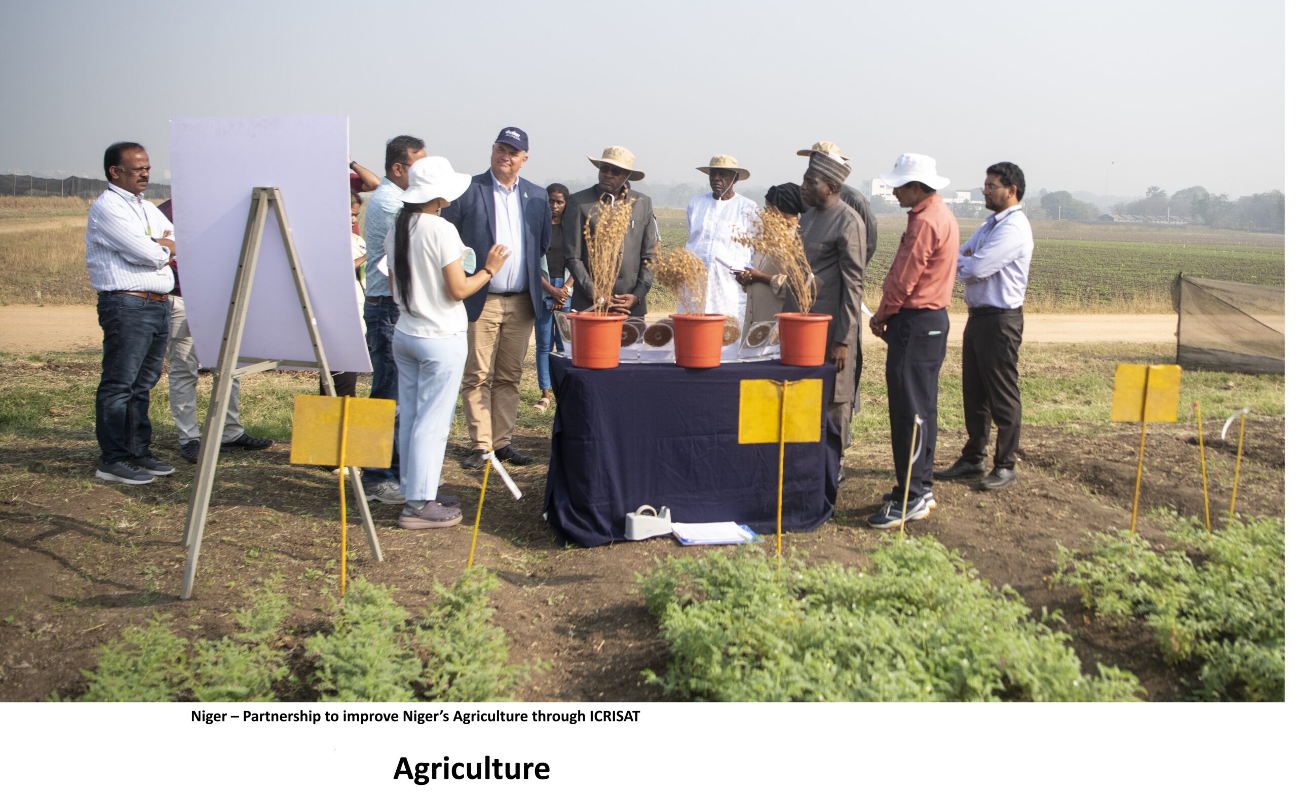 Niger Principle 5 Agricultural cooperation